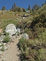 2014 Mt Baldy Cali 043
